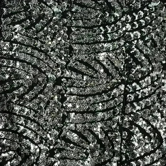 Walter Baker Josette Embellished Mesh Skirt Knee Length Size 6 - Picture 9 of 15